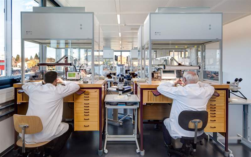 2017 年及以后手表行業可能的經濟增長領域-復刻表