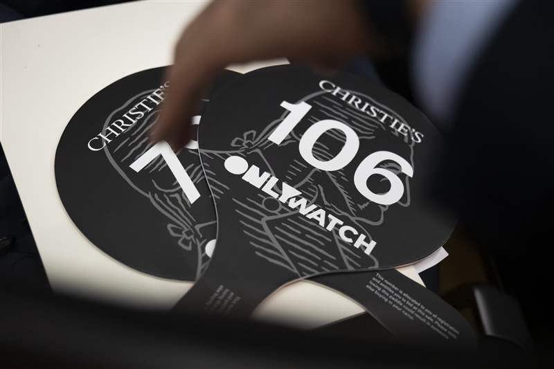 只有帶有 Watch 品牌標(biāo)志的槳葉位于其兩側(cè)。