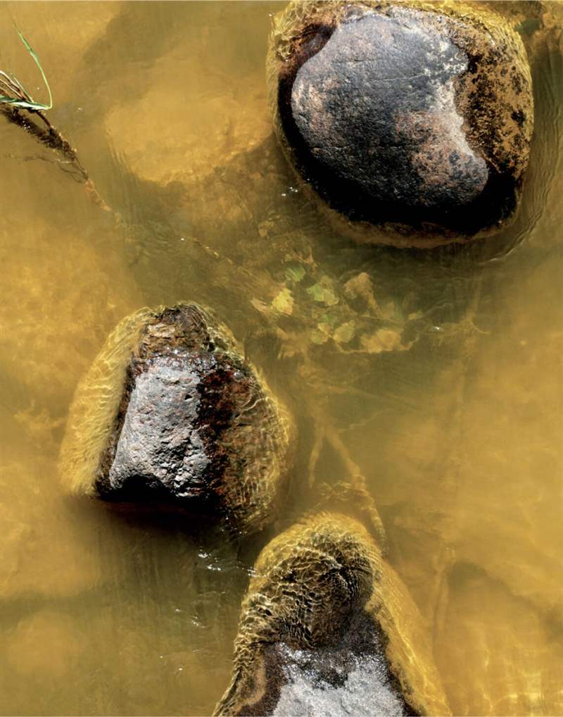 <p>2015 年發生事故后，科羅拉多州阿尼馬斯河的采礦廢料污染水域。 杰瑞·麥克布萊德攝。</p>